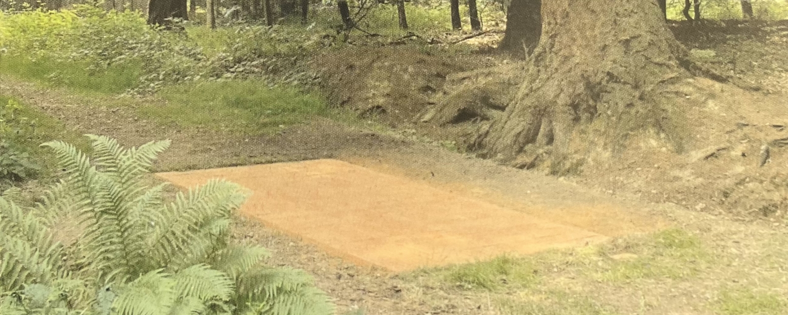 Abschied vom Wald / Farewell to the Forest 2