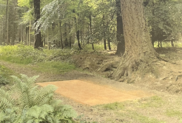 Abschied vom Wald / Farewell to the Forest 2